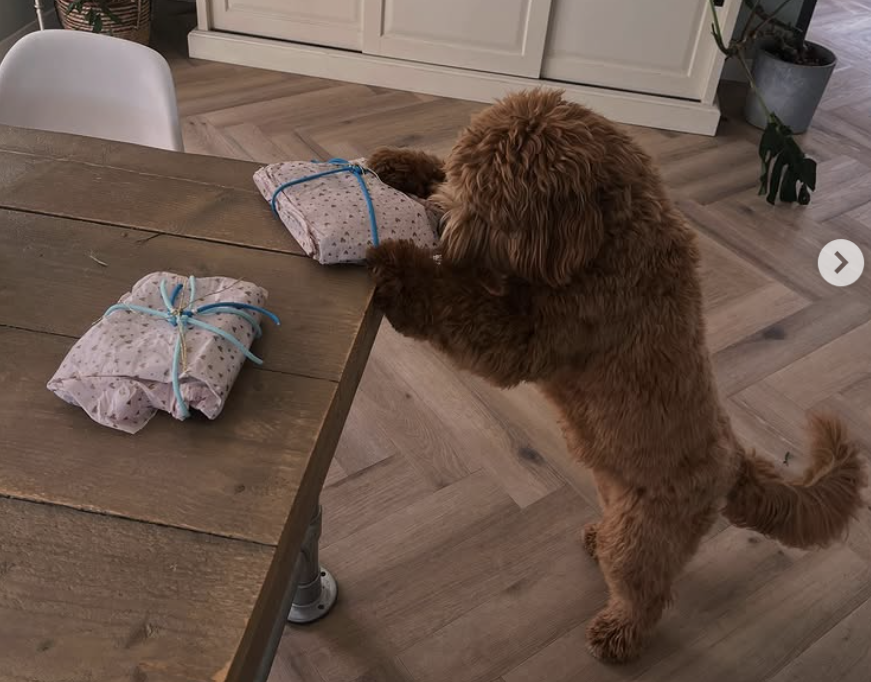 Cody bekijkt ingepakte handgemaakte Zeeuwsche Blaf-producten